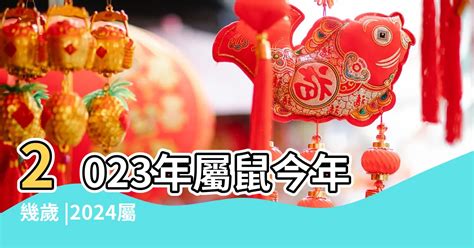 113年是什麼龍|屬龍今年幾歲｜屬龍民國年次、龍年西元年